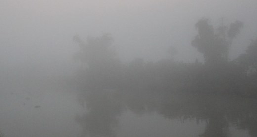 
	
	Rạng sáng 27/1, sương mù xuất hiện dày đặc ở các tỉnh Sóc Trăng, Hậu Giang, Cần Thơ, An Giang, Long An... Nhiều dòng sông sương mù vây kín, tầm nhìn xa chỉ còn khoảng 5 - 10m lúc 6h30.