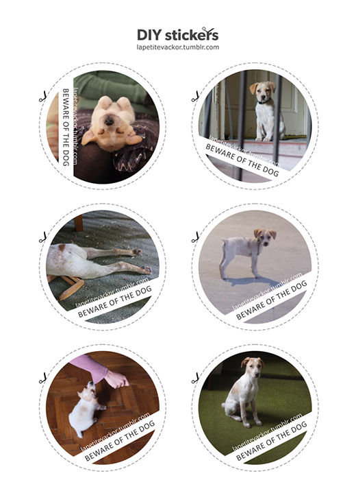 
	
	Cô chủ của Veckor đã làm các sticker vô cùng dễ thương về chú chó của mình.