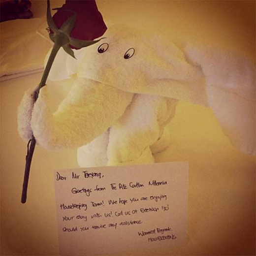 
	
	Taeyang thích thú khoe quà của người dọn phòng tặng cho anh tại Singapore: 'Thật là ngọt ngào, #hoa #voi #camon #hengaplai Singapore'.