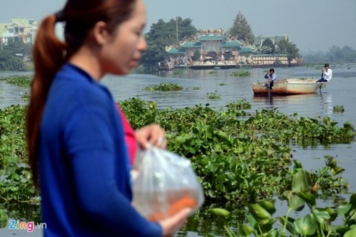 
	
	Chị An (ngụ đường Nguyễn Thái Sơn, quận Gò Vấp) đang chuẩn bị phóng sinh tại bến đò An Phú Đông trên sông Vàm Thuật, quận Gò Vấp thì phía xa hai người chích cá tiến vào.