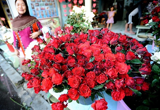 
	
	Hoa hồng rực rỡ trên đường phố Indonesia trong dịp Valentine. Ảnh: Getty