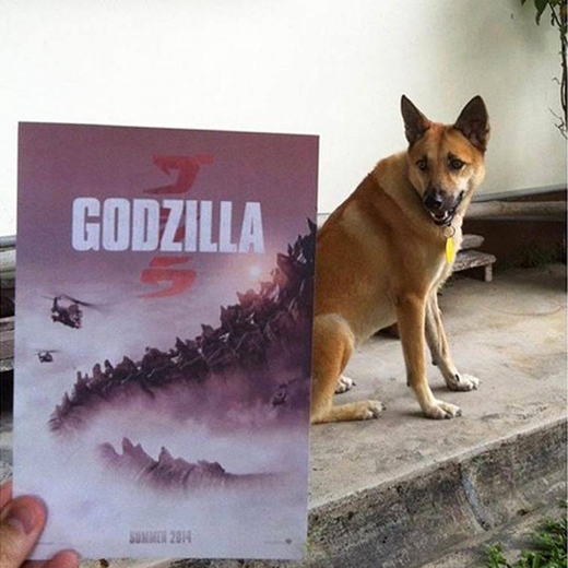 
	
	Quái vật Godzilla