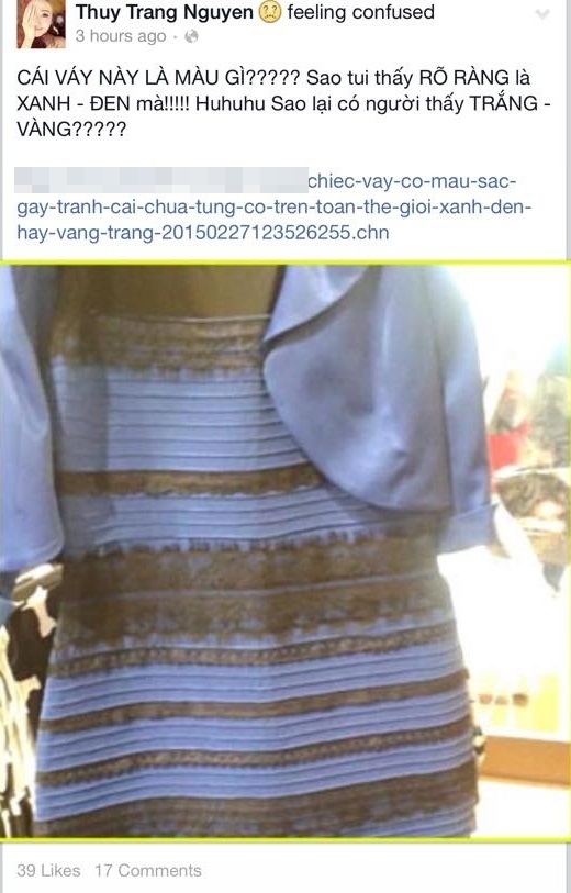 Cư dân mạng Việt Nam cũng khẩu chiến dữ dội bởi chiếc váy 2 màu