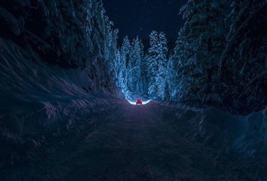 
	
	Con đường đi xuyên qua rừng cây phủ đầy tuyết trắng ở dãy núi Rila, Bulgari.