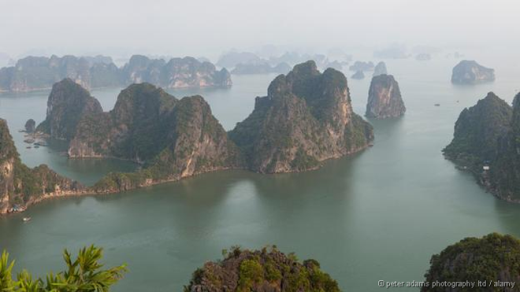 
	
	Phong cảnh hùng vĩ của vịnh Hạ Long, Việt Nam, với hệ thống hang động và các dạng địa chất đá vôi. Các cấu trúc bằng đá hình sau hoạt động của nước biển dâng cách đây 500 triệu năm. Vịnh có khoảng 1.600 hòn đảo lớn nhỏ, hầu hết không có người ở. Ảnh: Alamy