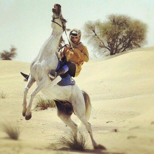 
	
	Là một vị Thái tử nhưng Hamdan rất giỏi cưỡi ngựa, đã từng giành được nhiều huy chương về đua ngựa trong các cuộc thi trong vài ngoài nước.