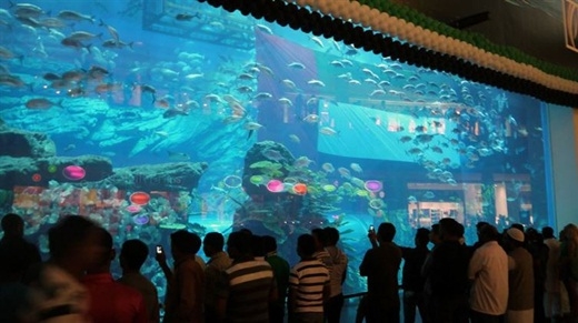 
	
	Hồ cá lớn nhất thế giới nằm trong trung tâm mua sắm Dubai với khoảng 33.000 động vật thủy sinh.