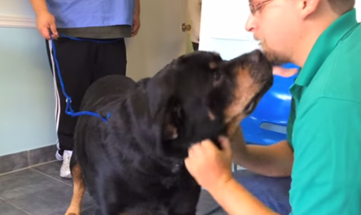 
	
	Cả anh Joshua và chú chó Duke đều không kiềm được xúc động, vui mừng khi được đoàn tụ sau 8 năm xa cách.