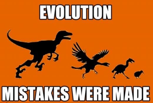 
	
	Không lẽ đây là thuyết tiến hóa mới?