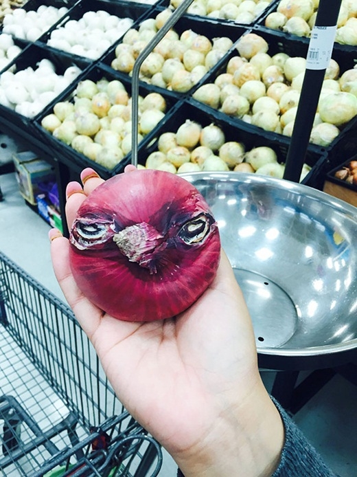 
	
	Đã phát hiện một fan cuồng của Angry Bird.