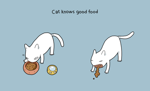 
	
	Mèo cũng rất kén ăn như một cô tiểu thư đỏng đảnh. Có lẽ nên gọi là 'chảnh mèo' thay vì 'chảnh chó' chứ nhỉ?