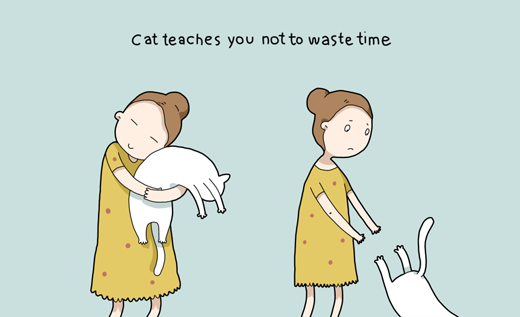 
	
	Các chú mèo sẽ không để bạn ôm chúng lâu hơn 1 phút đâu
