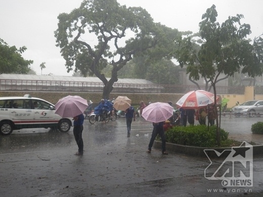 
	
	Cầm dù ra tận ngoài đường trong mưa dông để hỗ trợ đưa  thí sinh vào phòng thi