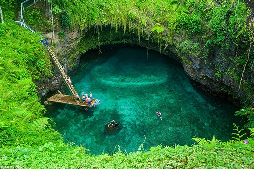 
	
	Là một bể bơi tự nhiên thuộc đảo núi lửa Upolu ở Samoa, được tạo ra từ một vụ phun trào núi lửa làm sập một phần đất, hồ To Sua Ocean Trench (hay còn gọi là “Cái hố lớn”) sâu gần 30 mét (tương đương 98 feet). Đường dẫn xuống hồ là một thang gỗ bắc cheo leo, đôi khi du khách có thể đứng trên đó nhảy xuống hồ tắm hệt như một trò chơi cảm giác mạnh.