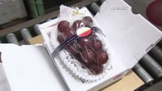 
	
	Một chùm nho 26 quả tại Nhật Bản cũng được bán ra với giá lên tới 177 triệu đồng, tức mỗi quả có giá khoảng 6,8 triệu đồng. Đây là chùm nho thuộc giống Ruby Roman quý hiếm và có hương vị rất ngon.