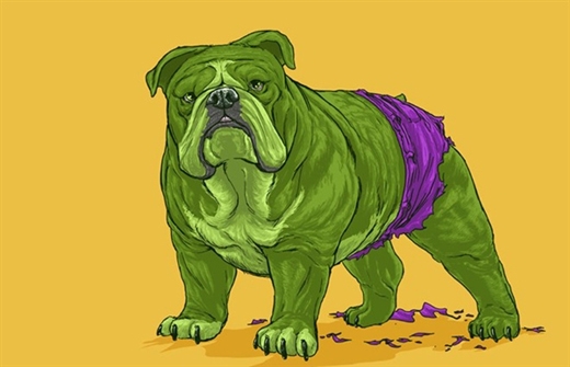 
	
	Một sự kết hợp tuyệt vời giữa chú chó Pitt Bull hùng dũng và Người khổng lồ xanh (Hulk) mạnh mẽ