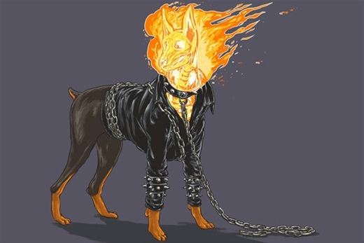 
	
	Chú chó Doberman “bốc lửa” trong nhân vật Ghost Rider