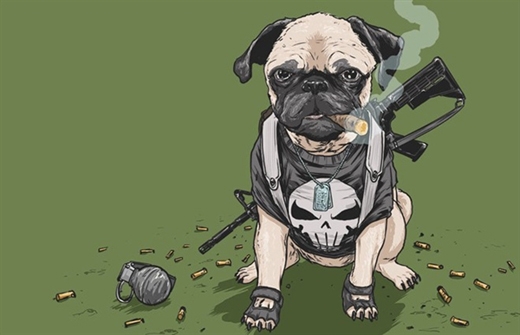 
	
	“Xem chú chó Pug đeo khẩu súng của nhân vật Punisher ngầu chưa này”