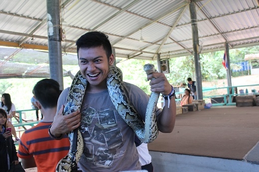 
	
	Du khách có thể thử chơi đùa với những chú rắn khổng lồ hiền như đất.