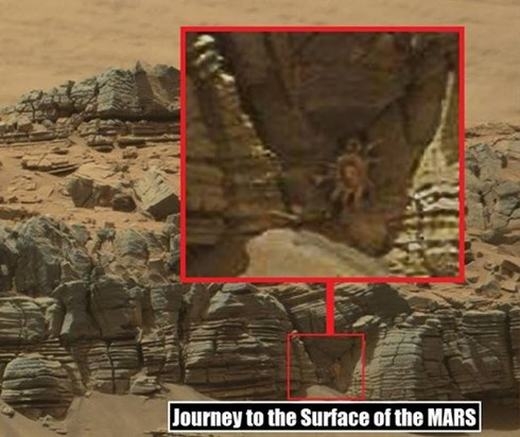 
	
	Ngày 5/8, đồng loạt các trang tin trên thế giới “tá hỏa” bởi một hình ảnh được chụp bởi robot thám hiểm tự hành Curiosity của NASA. Theo một số ý kiến, đây có thể là một loài nhện, nhưng có nhận xét cho rằng đó chính là “người sao Hỏa”.