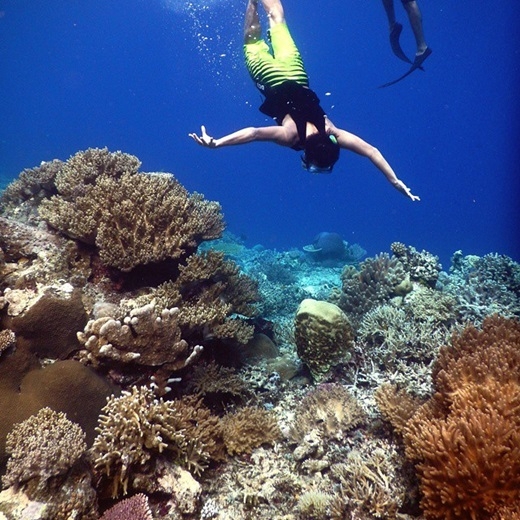 
	
	Với người thích lặn biển, Raja Ampat được xem là nơi phải đến trong đời bởi 70% rạn san hô trên thế giới tập trung tại đây.