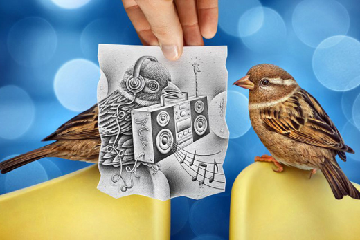 
	
	Bên trong mỗi chú chim là tâm hồn âm nhạc...