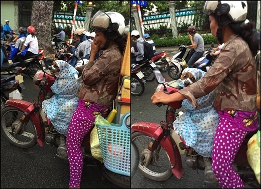 
	
	Bức hình người phụ nữ nhường áo mưa cho chú chó trong ngày mưa Sài Gòn khiến nhiều người cảm động.