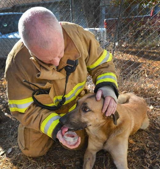 
	
	Một người lính cứu hỏa Fort Worth, Texas đang nỗ lực hồi sức cho chú chó.