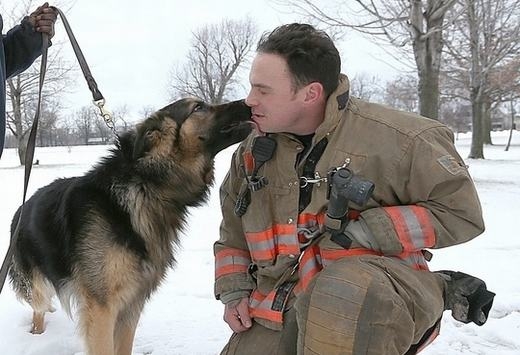
	
	Một “nụ hôn” cảm ơn từ chú chó dành cho lính cứu hỏa.