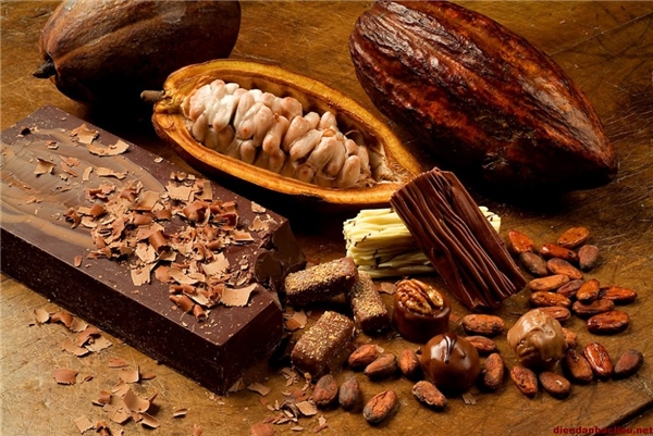 
	
	Hạt cacao