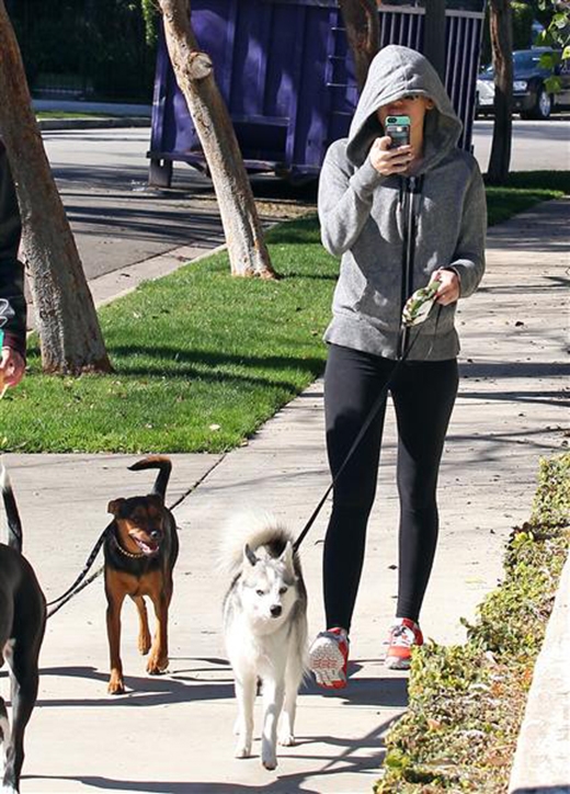 
	
	Miley Cyrus không có tâm trạng để chụp hình khi đang dắt chó đi dạo. Tuy nhiên giọng ca We Can't Stop sẵn sàng tăm tia một vài tấm hình để 'dằn mặt' các paparazzi.