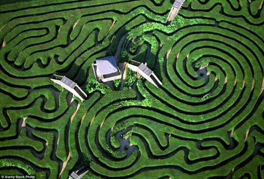 
Được tạo hình từ 16.000 cây thanh tùng, mê cung Longleat, Wiltshire, Anh thật nổi bật khi chụp từ không trung. (Ảnh: Internet)