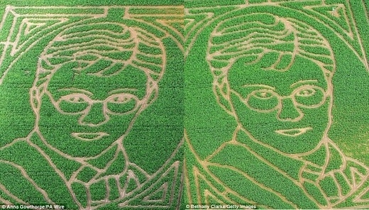 
Với đường kính 45m, tiêu tốn hơn 1 triệu cây bắp, mê cung có gương mặt của cậu bé phù thủy Harry Potter này được xem là mê cung từ cây bắp “khủng” nhất châu Âu vào năm 2011. Được biết, người nông dân tài năng – chủ sở hữu nơi này là ông Tom Pearcy. (Ảnh: Internet)