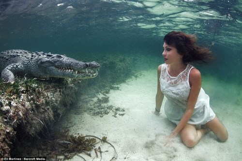 Thót tim với người mẫu trẻ chụp ảnh cùng cá sấu