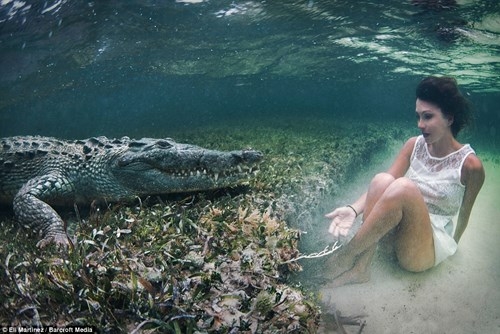 Thót tim với người mẫu trẻ chụp ảnh cùng cá sấu