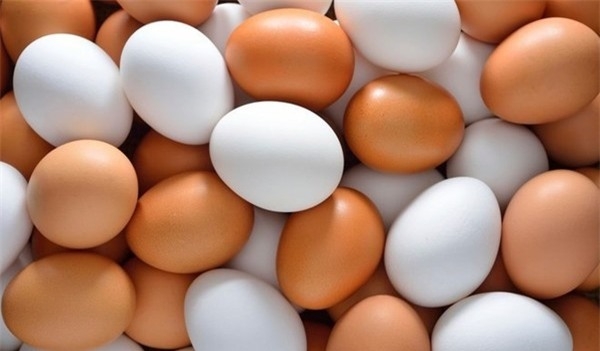 Ngỡ ngàng với 10 sự thật về trứng gà