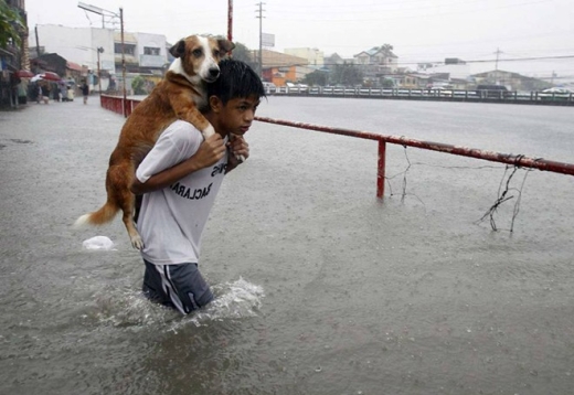 
Cậu bé cõng cún cưng băng qua nước lũ ở Manila, Philippines. (Ảnh: Internet)