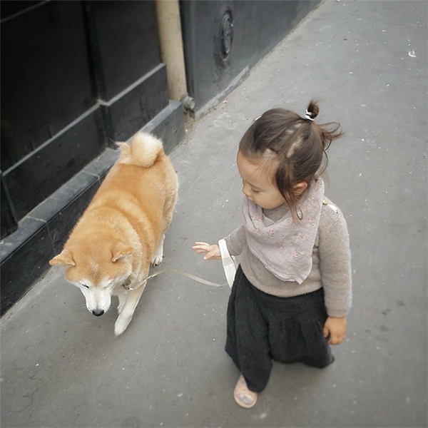 HÌnh ảnh đáng yêu của bé và chú chó Shiba 3