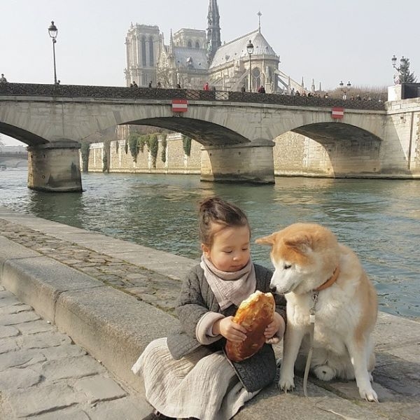 HÌnh ảnh đáng yêu của bé và chú chó Shiba 6