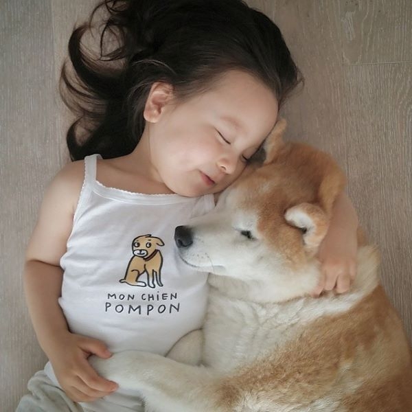 HÌnh ảnh đáng yêu của bé và chú chó Shiba 10