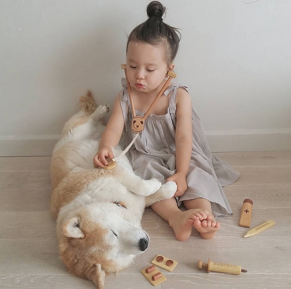 HÌnh ảnh đáng yêu của bé và chú chó Shiba 11