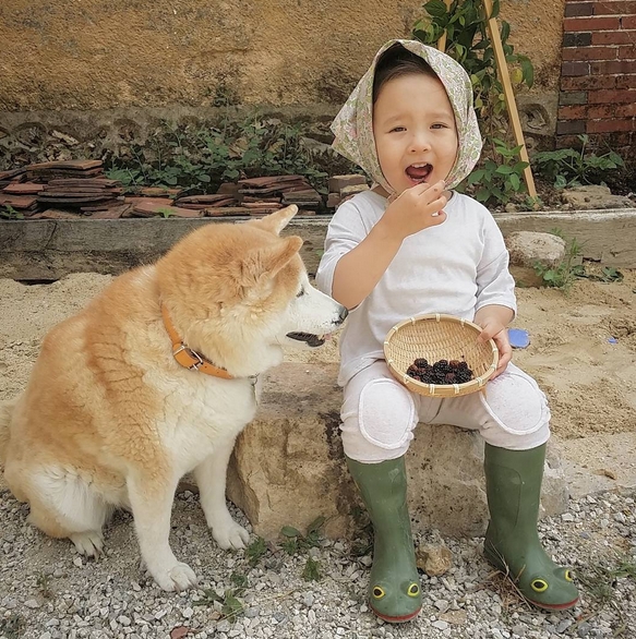 HÌnh ảnh đáng yêu của bé và chú chó Shiba 17