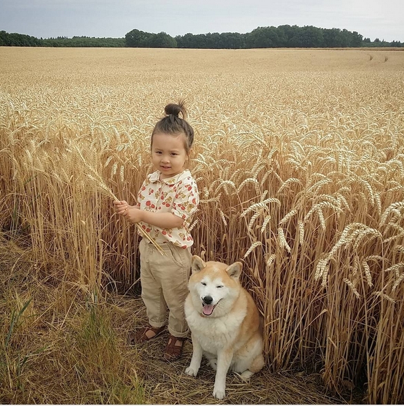 HÌnh ảnh đáng yêu của bé và chú chó Shiba 18