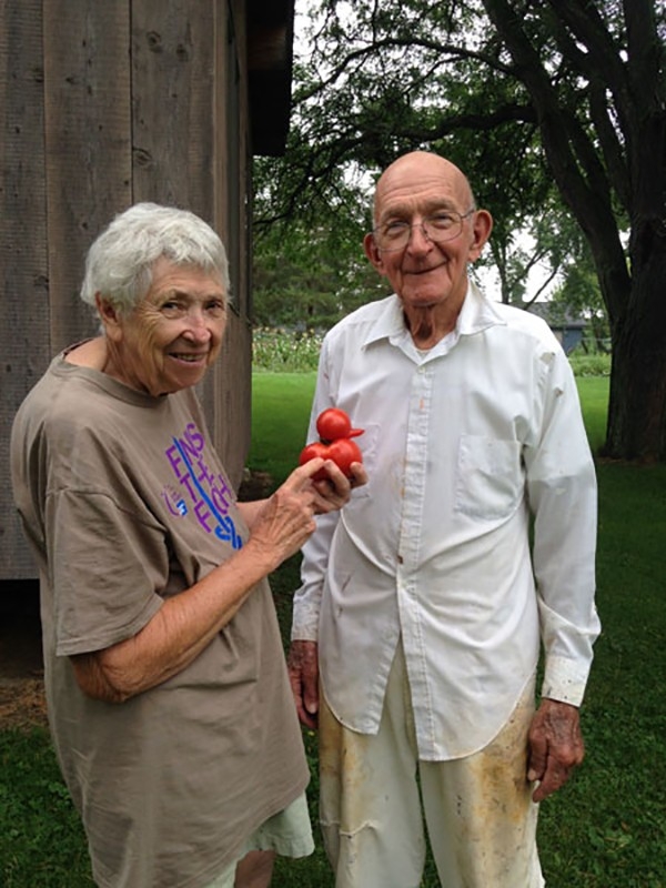 
Ông bà Davidek hi vọng sẽ sớm tìm được cách trồng những quả cà chua có hình vịt như thế này.