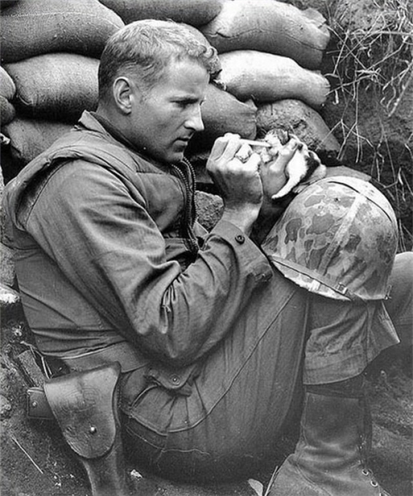 
Một người lính cho chú mèo con 2 tuần tuổi ăn trong Chiến tranh Triều Tiên.