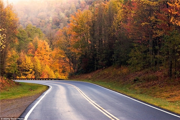 
Con đường xuyên núi Smoky trở nên lãng mạn vào mùa thu.