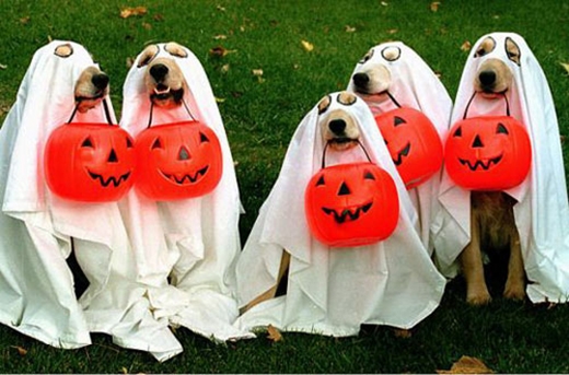 
Biệt đội ma trơi đi xin kẹo đêm Halloween. (Nguồn: Internet)