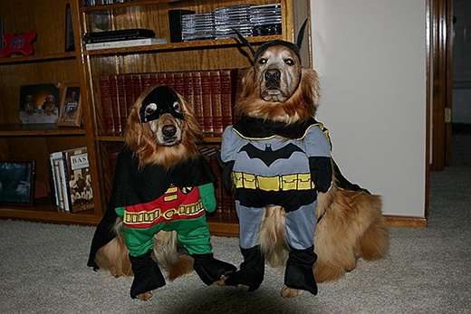 
Batman và Robin sẽ đến giải cứu bạn khỏi đám ma quỷ trong đêm Halloween. (Nguồn: Internet)