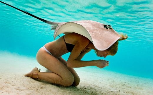 
Một cô gái “đội” trên đầu chú cá đuối. Bức ảnh được chụp ở ngoài khơi bờ biển Tahiti. (Ảnh: Smartshot)