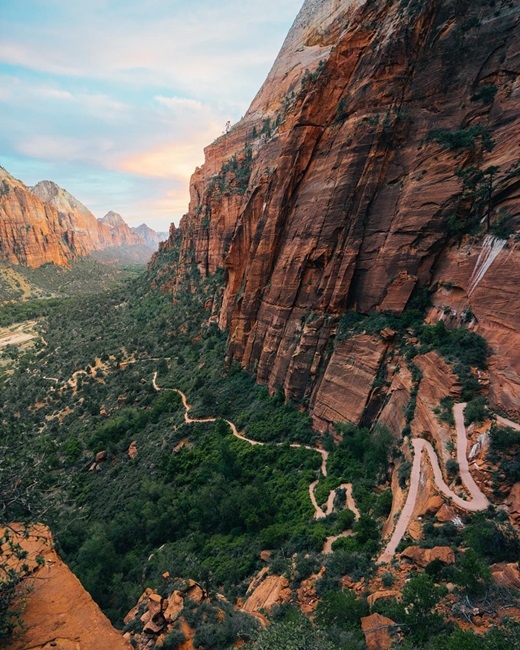 
Con đường hẹp ngoằn ngoèo uốn quanh vách đá dựng đứng ở vườn quốc gia Zion, Utah không làm chùn bước những trái tim liều lĩnh. (Nguồn IG @andyto)
